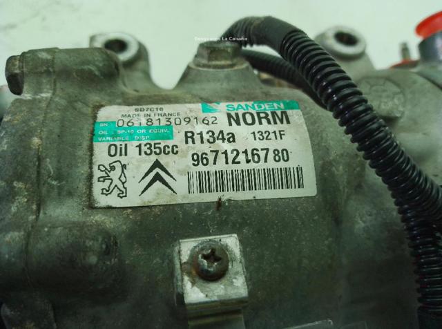 9825868180 Peugeot/Citroen