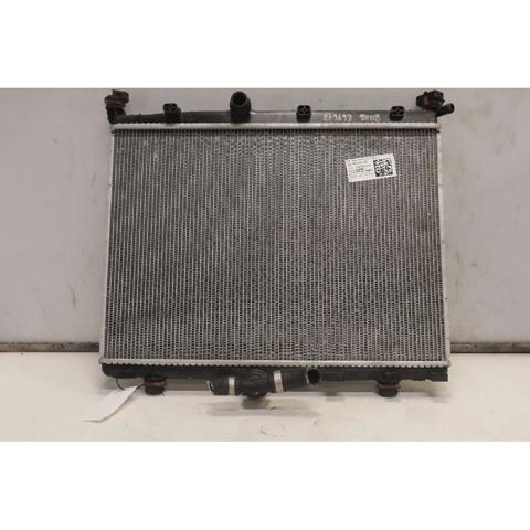 9827174680 Peugeot/Citroen