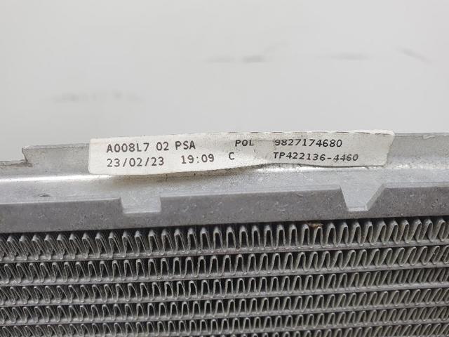 9827174680 Peugeot/Citroen