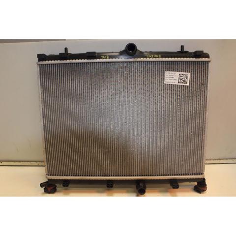 9827174680 Peugeot/Citroen