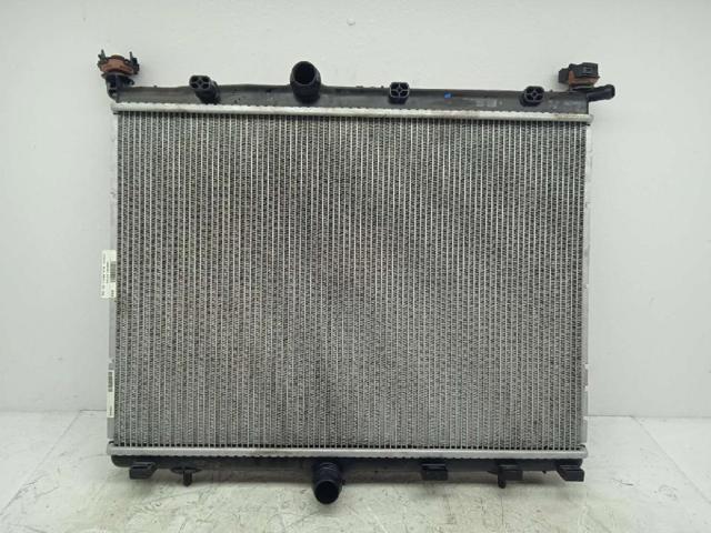 9827174680 Peugeot/Citroen