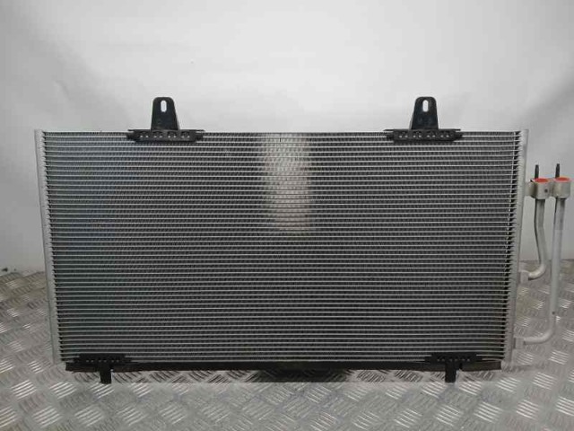 9827255780 Peugeot/Citroen