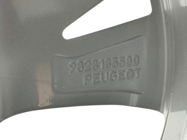 98281855ZV Peugeot/Citroen