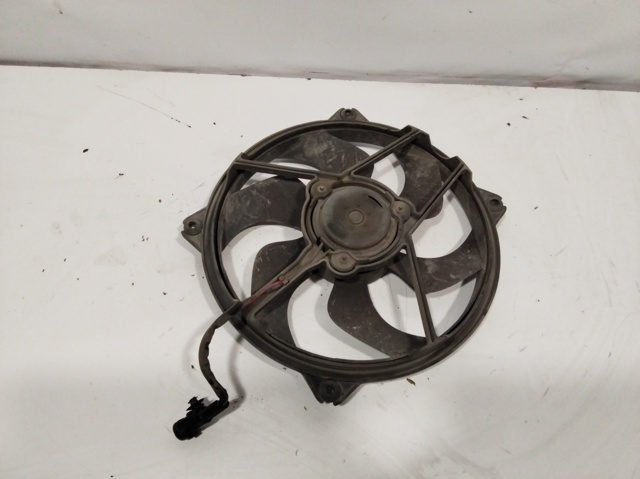 9828719880 Peugeot/Citroen