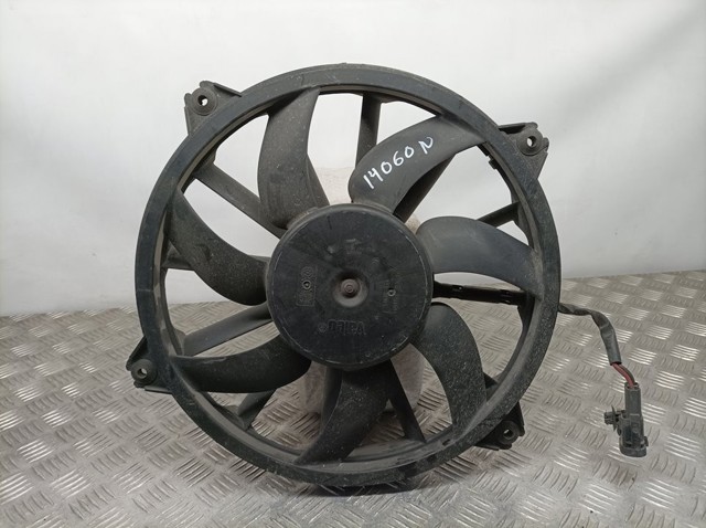 9828719880 Peugeot/Citroen