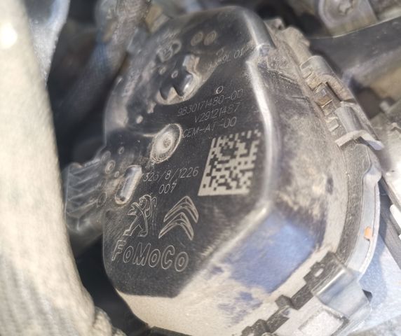 9830171480 Peugeot/Citroen