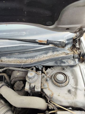 983102F000 Hyundai/Kia
