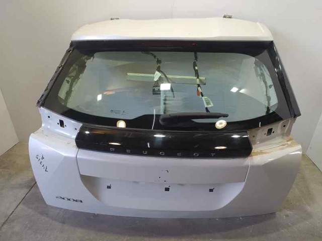 9831045880 Peugeot/Citroen