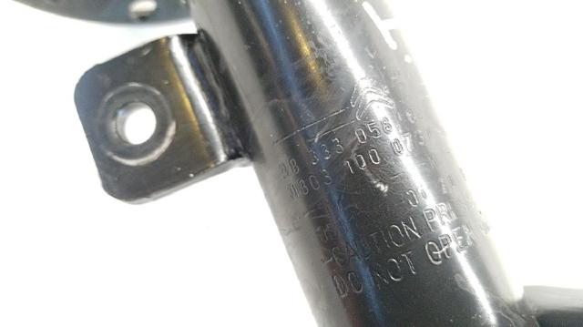 9833305880 Peugeot/Citroen