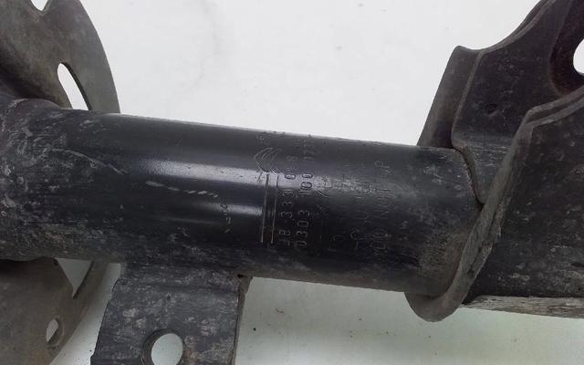 9833305880 Peugeot/Citroen