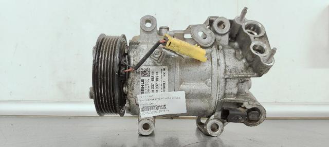 9833718880 Peugeot/Citroen