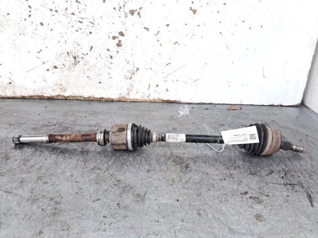 9836232080 Peugeot/Citroen