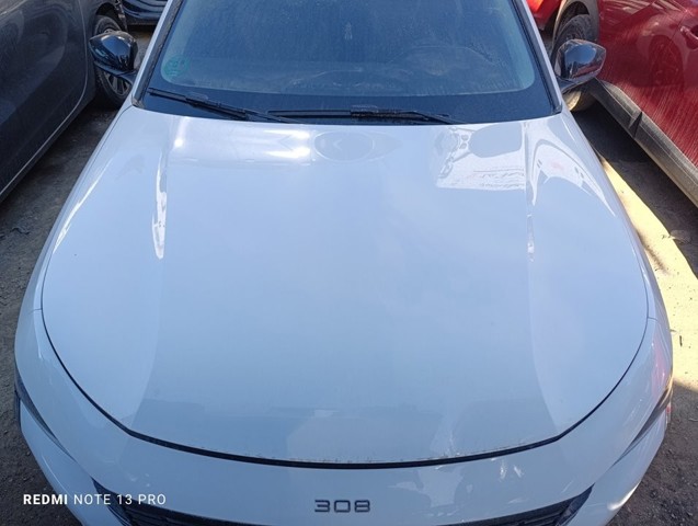 9837981180 Peugeot/Citroen