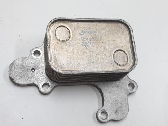 9839253380 Peugeot/Citroen