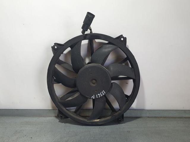 988495H Peugeot/Citroen