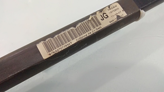 Silnik w komplecie 9HZ PEUGEOT