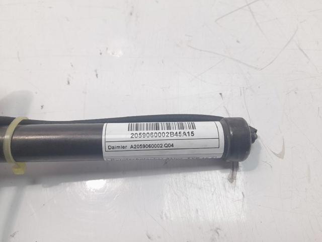 A2059060002 Mercedes