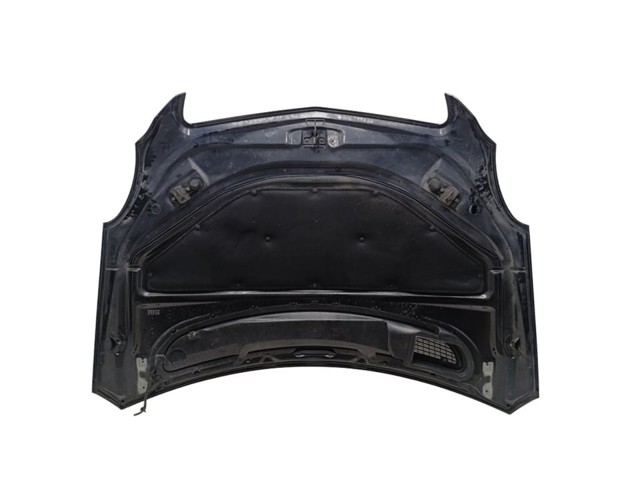 Maska silnika Mercedes R W251