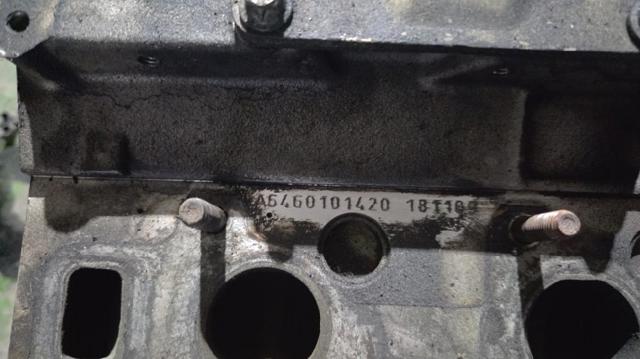 Głowica cylindrów A6460101420 MERCEDES