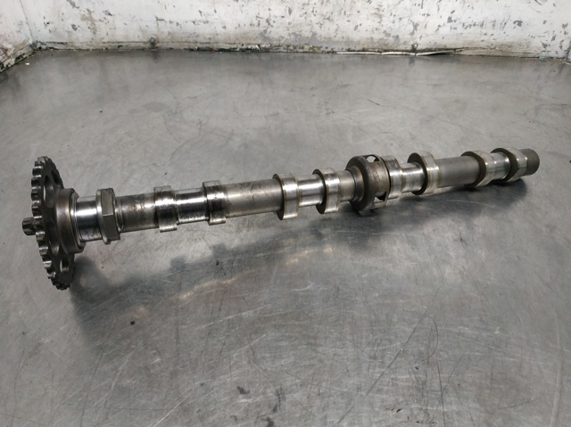 Koło zębatewalcowe wałka rozrządu silnika A6510520001 MERCEDES