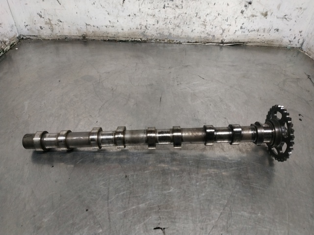 Koło zębatewalcowe wałka rozrządu silnika A6510520001 MERCEDES