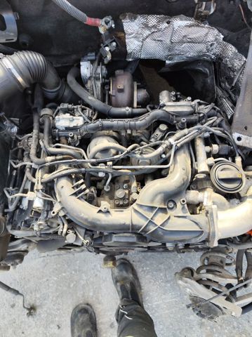  Audi A8  sedana kupić w Polsce