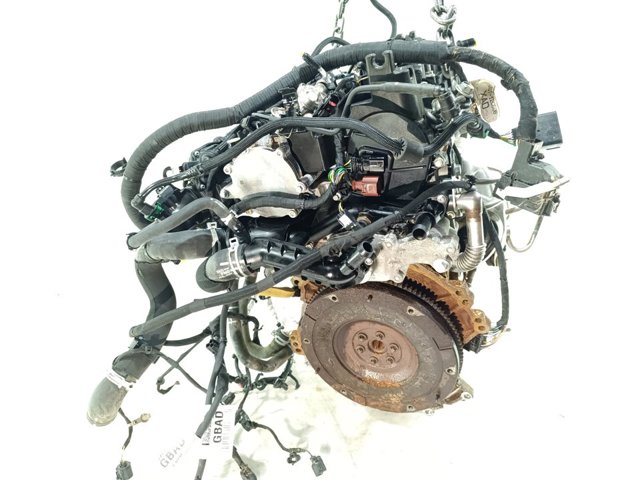 Silnik w komplecie Ford Focus 4 HP