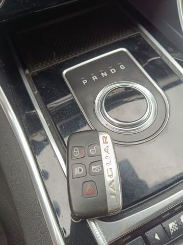 C2D51458 Jaguar