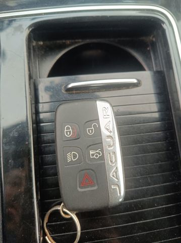 C2D51458 Jaguar