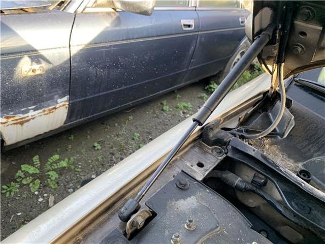 Amortyzator maski C2S1927 JAGUAR