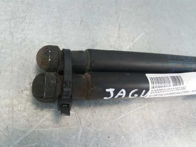 C2Z21500 Jaguar