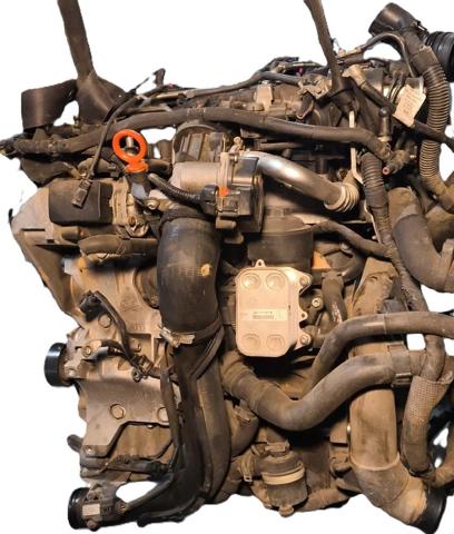 Silnik w komplecie Skoda Rapid NH3, NK3, NK6