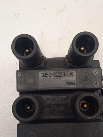 CM5G12029FA Ford