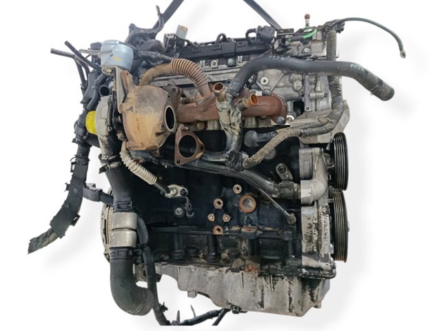 D4FB Hyundai/Kia