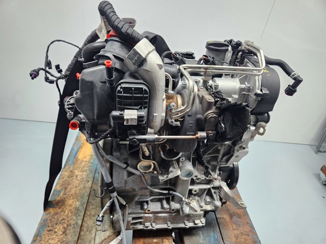 DGEA VAG