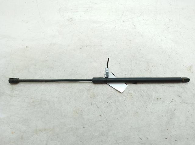 Amortyzator maski DS73F16C827AC FORD