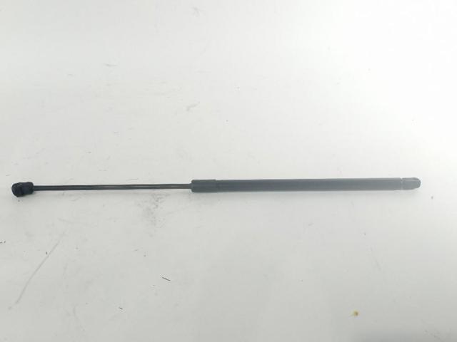 Amortyzator maski DS73F16C827AC FORD