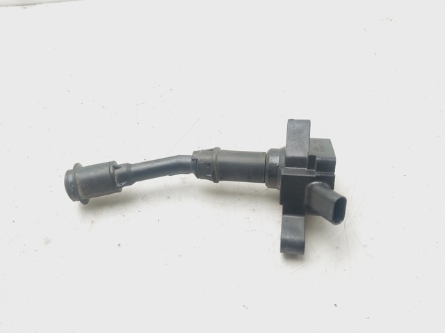 Cewka zapłonowa DS7G12A366BB FORD