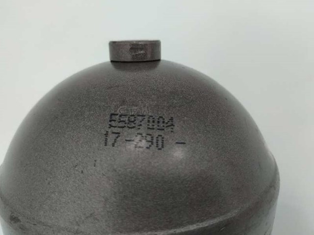 E587004 Peugeot/Citroen