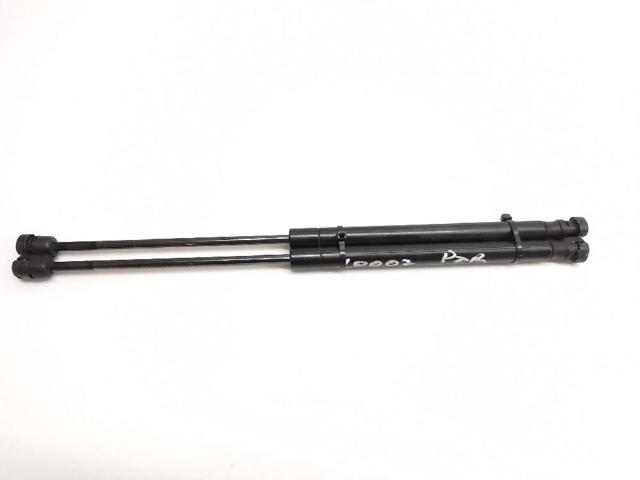 Amortyzator klapy bagażnika (3/5 drzwi-tylnych) E84827465A RENAULT