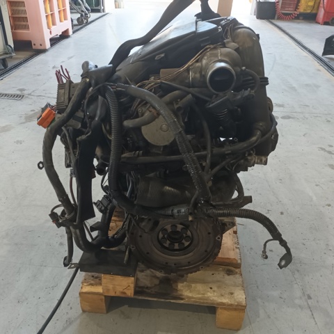 Silnik w komplecie F9Q732 RENAULT