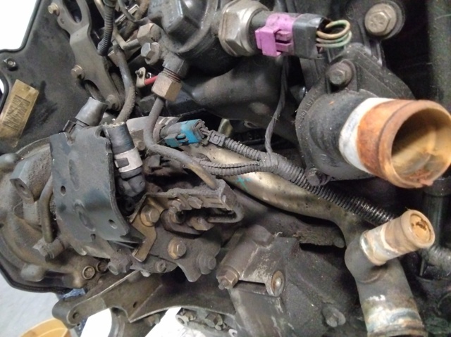 Silnik w komplecie FFDA FORD