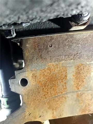 Silnik w komplecie FFDA FORD