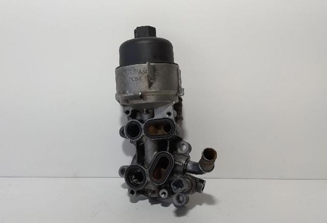 FL515 Peugeot/Citroen