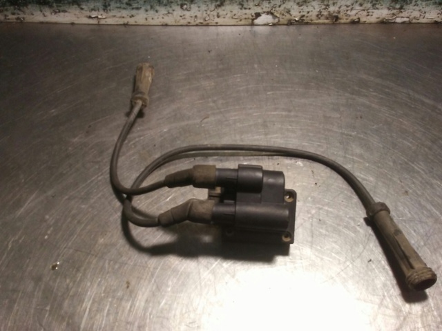 H7700100589 Renault (RVI)