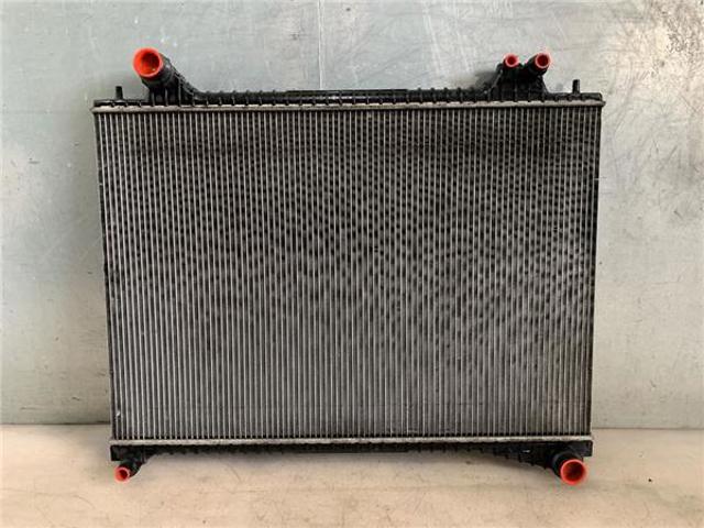 HK838005DB Jaguar