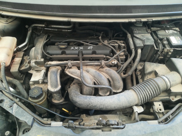 Silnik w komplecie HWDA FORD