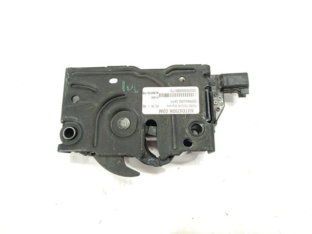 Kupić  Focus IV HP