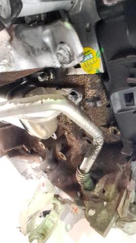 Silnik w komplecie Renault Clio LU