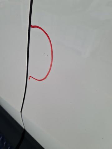 Drzwi tylne lewe KDY37302XC MAZDA